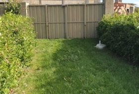 Foto 14