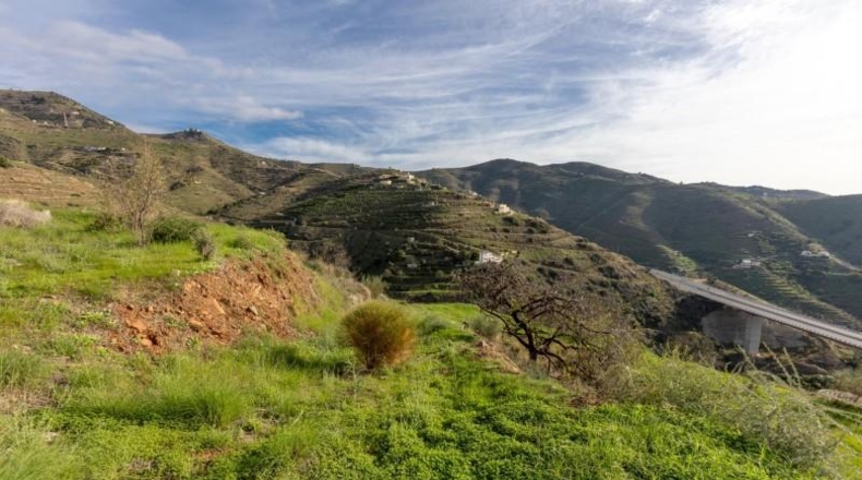 Granada - Almuñécar - 4334m2