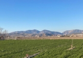 Detached villa with land for sale on España, Pinos Puente, ref: TR287630 photo