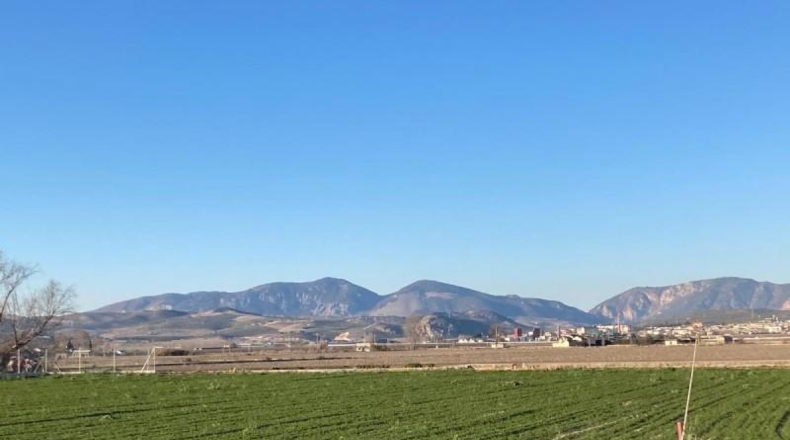 Granada - Pinos Puente - 5308m2