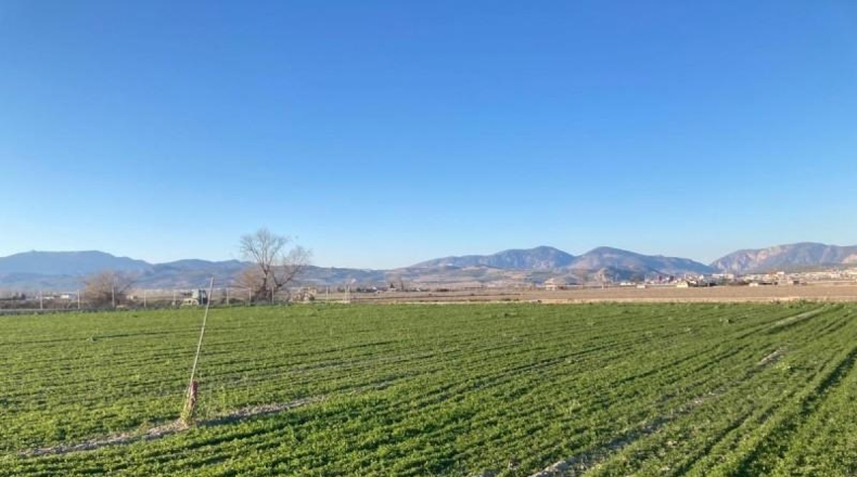 Granada - Pinos Puente - 5308m2