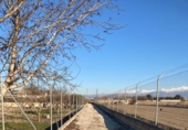 Detached villa with land for sale on España, Pinos Puente, ref: TR287630 photo