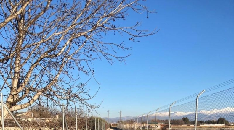 Granada - Pinos Puente - 5308m2