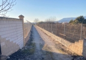 Detached villa with land for sale on España, Pinos Puente, ref: TR215114 photo