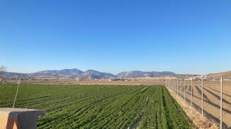 Granada - Pinos Puente - 5308m2