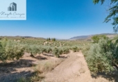 Terreno no urbanizable en venta en la España, Íllora, ref: TR404737 foto