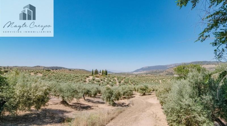 Granada - Íllora - 32787m2