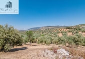 Terreno no urbanizable en venta en la España, Íllora, ref: TR404737 foto
