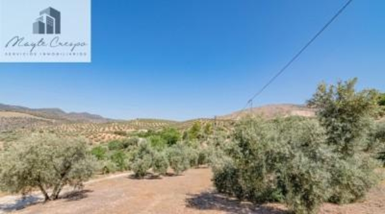 Granada - Íllora - 32787m2