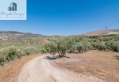 Terreno no urbanizable en venta en la España, Íllora, ref: TR404737 foto