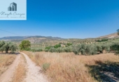 Terreno no urbanizable en venta en la España, Íllora, ref: TR404737 foto