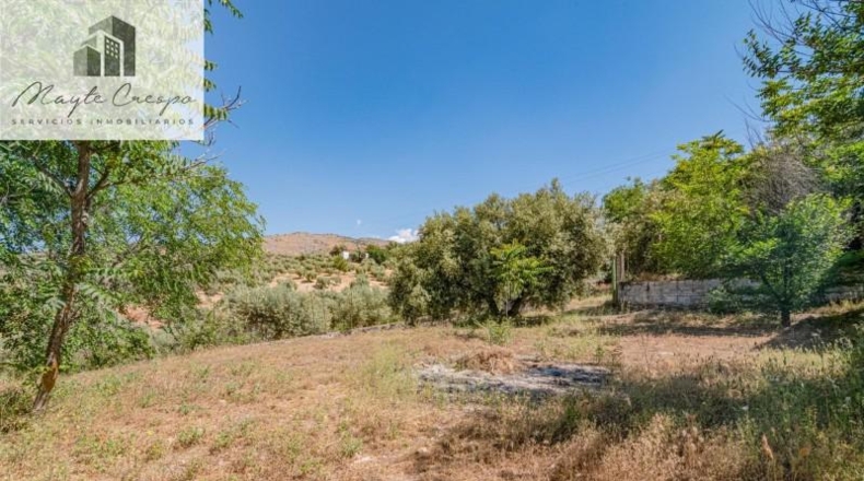 Granada - Íllora - 32787m2