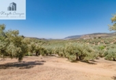 Terreno no urbanizable en venta en la España, Íllora, ref: TR404737 foto
