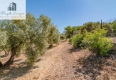 Terreno no urbanizable en venta en la España, Íllora, ref: TR404737 foto