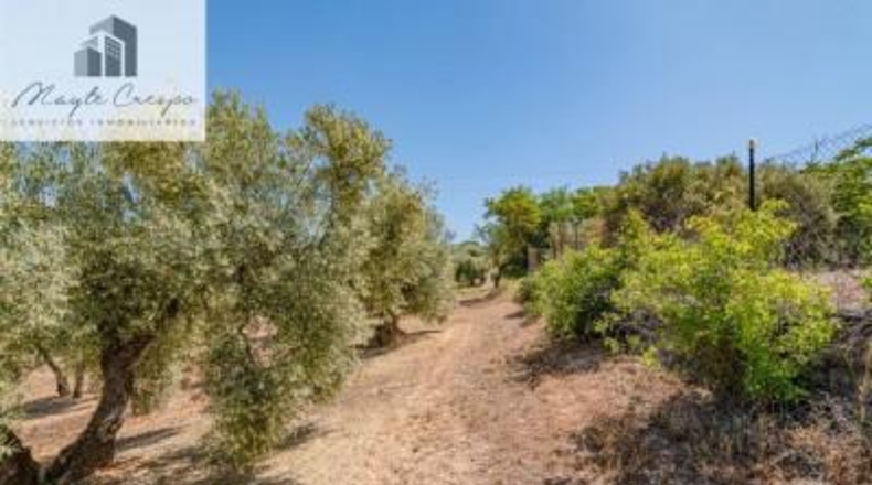Granada - Íllora - 32787m2
