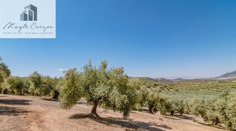 Granada - Íllora - 32787m2