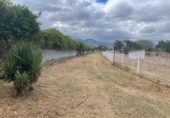Terreno no urbanizable en venta en la España, Carracedelo, ref: TR118425 foto