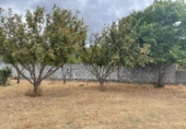 Terreno no urbanizable en venta en la España, Carracedelo, ref: TR118425 foto