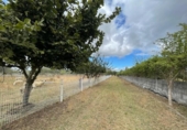 Terreno no urbanizable en venta en la España, Carracedelo, ref: TR118425 foto