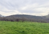 Country house with land for sale on España, Lazana, ref: TR407408 photo