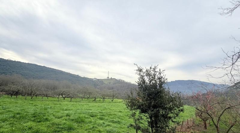 Asturias - Lazana - 21535m2