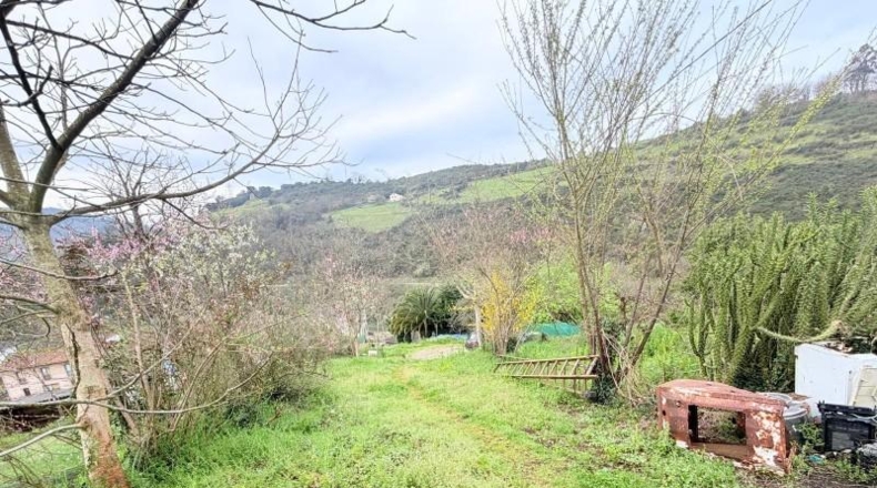 Asturias - Lazana - 21535m2