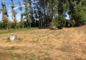 Finca rústica en venda a la España, Carracedelo, ref.: TR302195 foto