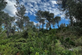 Foto 10