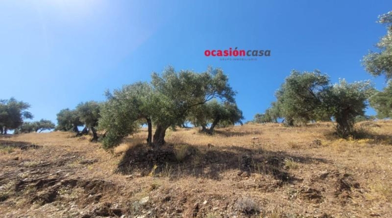 Córdoba - Пособланко - 60492m2