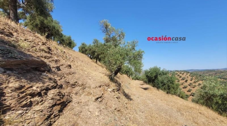 Córdoba - Пособланко - 60492m2