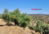 Xalet independent amb terreny en venda a la España, Pozoblanco, ref.: TR302898 foto