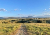 Detached villa with land for sale on España, Palazuelos de Eresma, ref: TR131219 photo