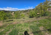 Parcela urbanizable en venta en la España, Moià, ref: TR130141 foto