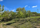 Parcela urbanizable en venta en la España, Moià, ref: TR130141 foto