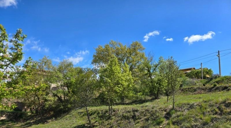 Barcelona - Moià - 1105m2