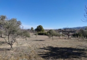 Terreno no urbanizable en venta en la España, Ontinyent, ref: TR366251 foto