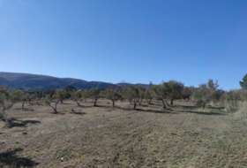 Ontinyent 12065&nbsp;m²