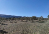 Terreno no urbanizable en venta en la España, Ontinyent, ref: TR366251 foto