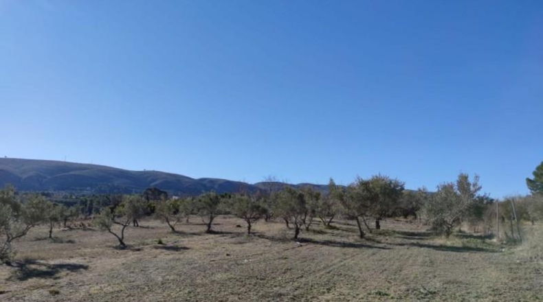 Valencia - Ontinyent - 12065m2