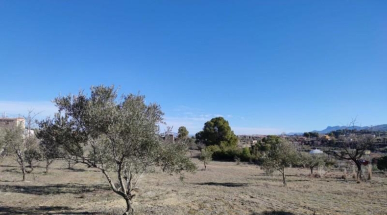 Valencia - Ontinyent - 12065m2