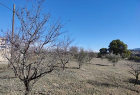 Ontinyent 12065&nbsp;m²