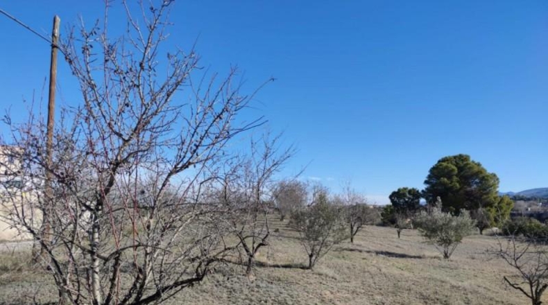 Valencia - Ontinyent - 12065m2