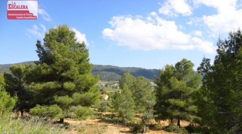 Granada - Molvízar - 16000m2