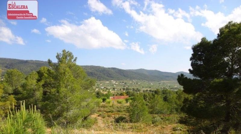 Granada - Molvízar - 16000m2