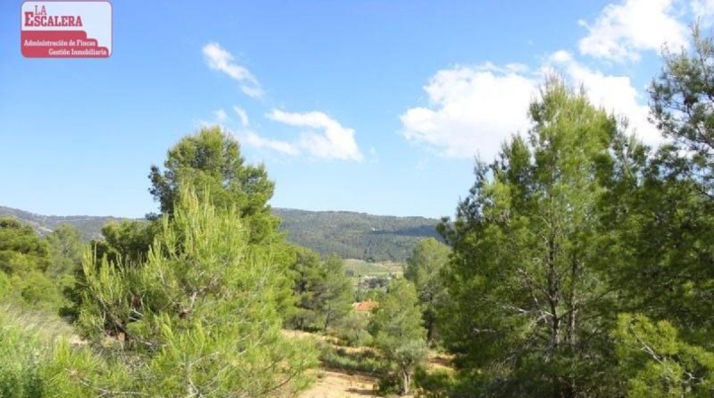 Granada - Molvízar - 16000m2