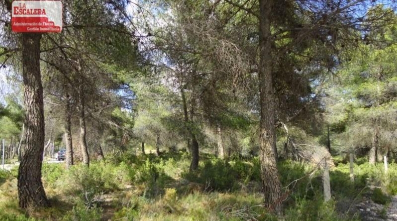 Granada - Molvízar - 16000m2