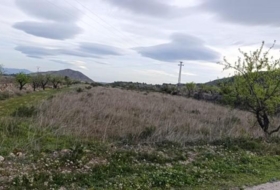 Hondón de las Nieves 11603&nbsp;m²