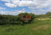 Casa de camp amb terreny en venda a la España, Lugo, ref.: TR315343 foto