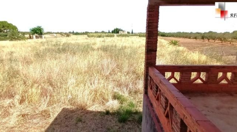 Castellón - Torreblanca - 6966m2