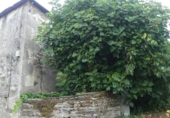 Chalet independiente con terreno en venta en la España, Pardiñas, ref: TR312771 foto